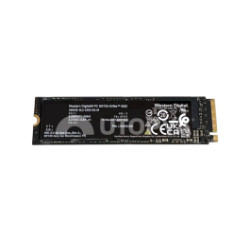 Western Digital SSD M2 NVMe (256 GB) (Ricondizionato)