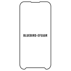 Bluebird compatibile - Pellicola protettiva per i schermi dei terminali EF550